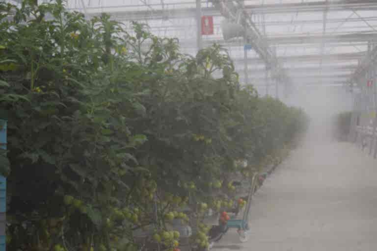 fog2